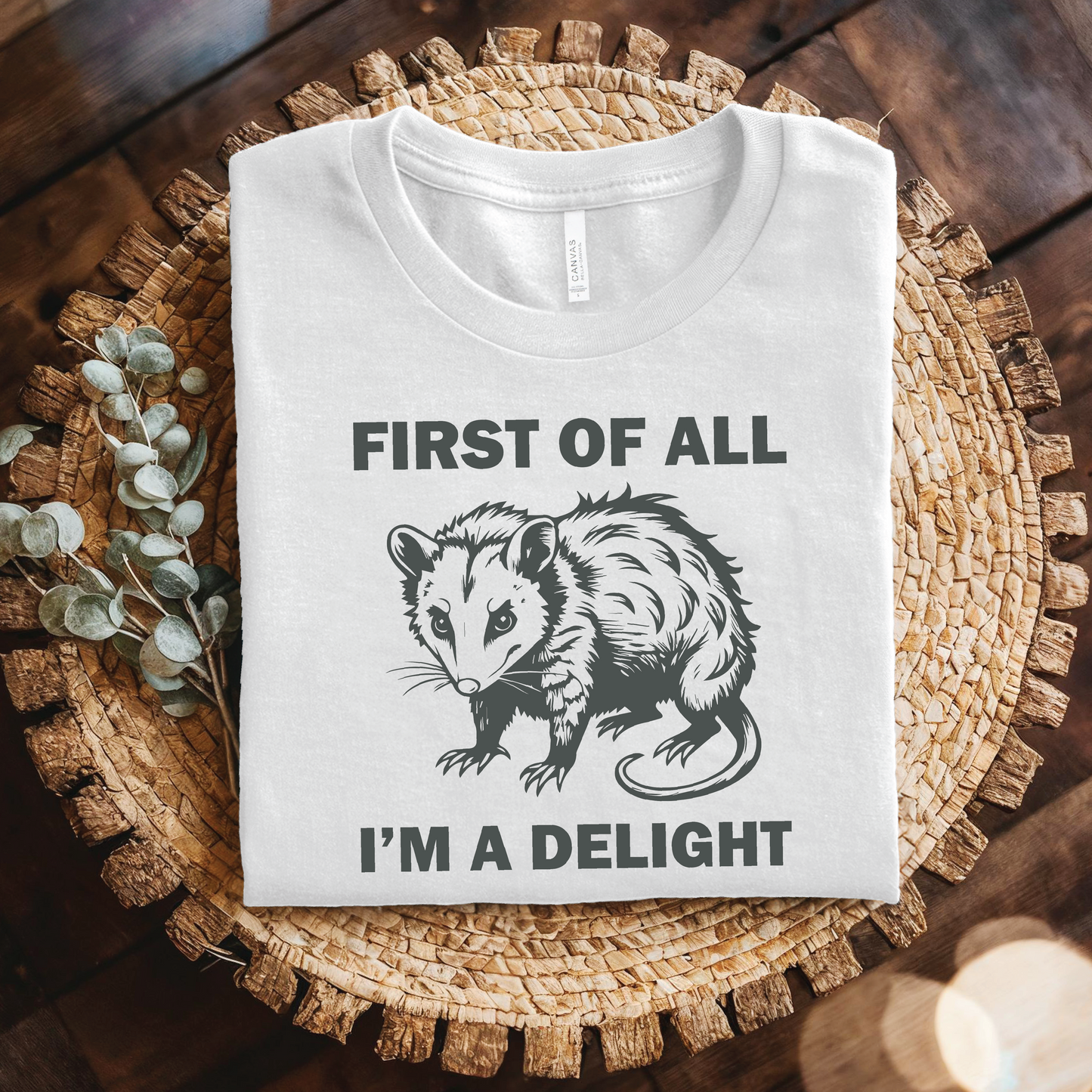 Possum t-shirt - First of All I’m a Delight Shirt, Sarcastic Humor Shirt