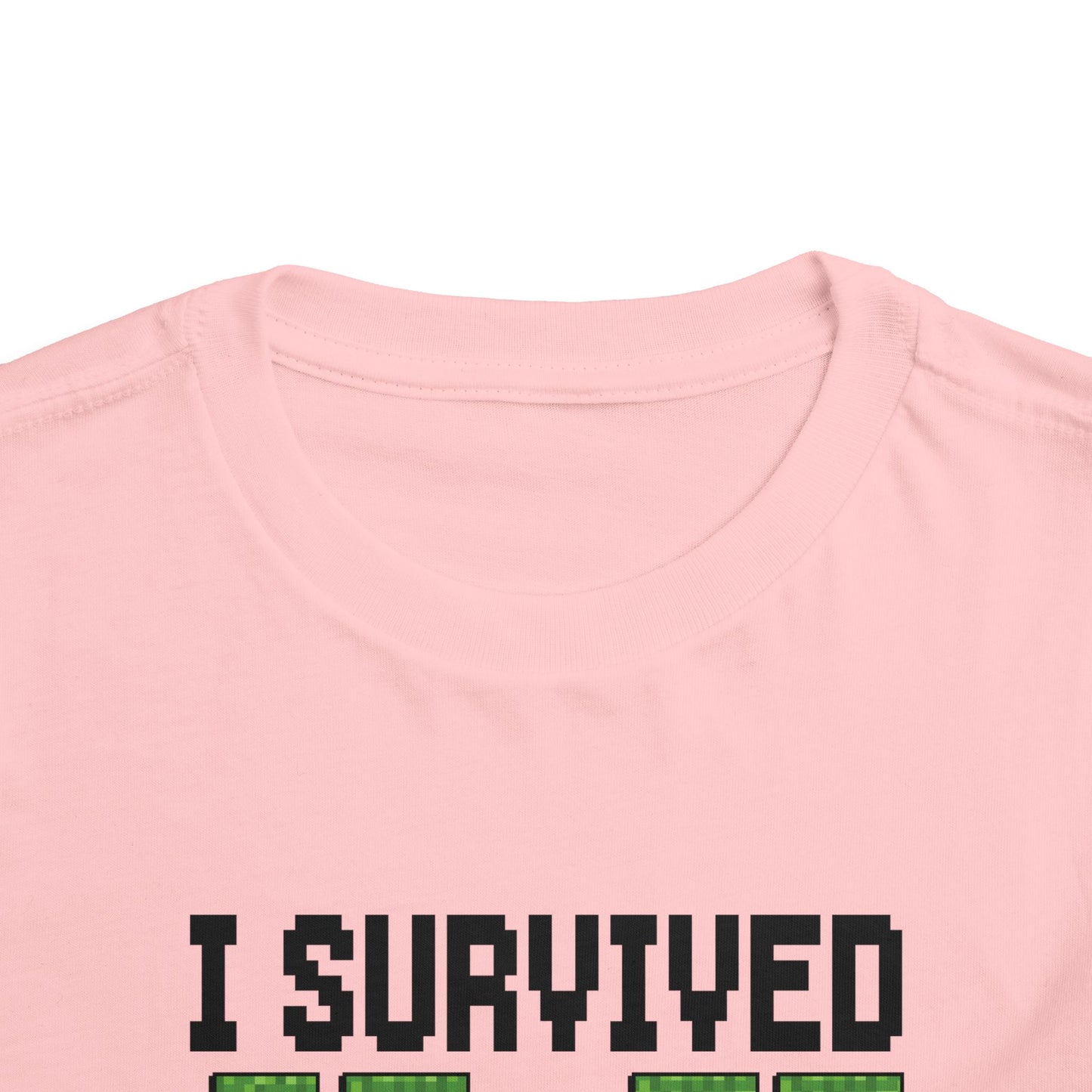 I Survived 67+33 Days of School - End-of-Year Graduation Shirt, School Humor T Shirt