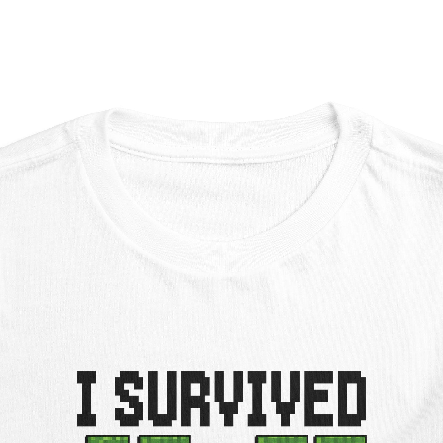 I Survived 67+33 Days of School - End-of-Year Graduation Shirt, School Humor T Shirt