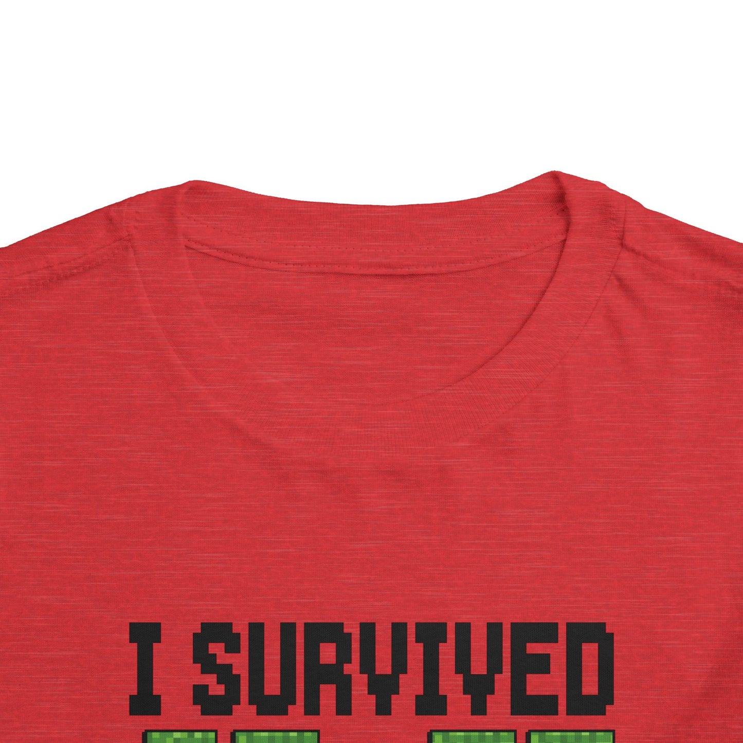 I Survived 67+33 Days of School - End-of-Year Graduation Shirt, School Humor T Shirt