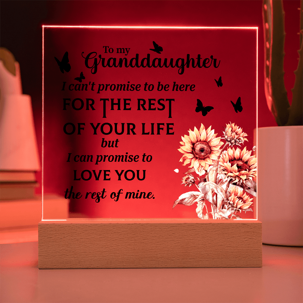 decorative acrylic plaque for granddaughter’s bedroom or living space