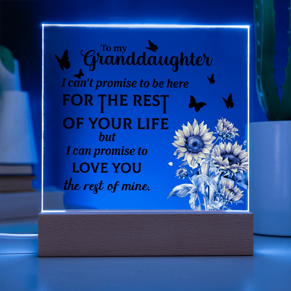 meaningful acrylic plaque gift from grandparents to granddaughter