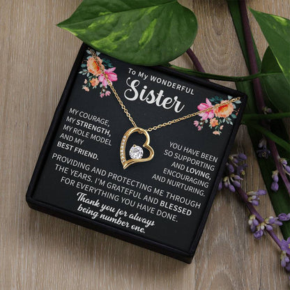 emotional gifting moment capturing a necklace given to a loving sister