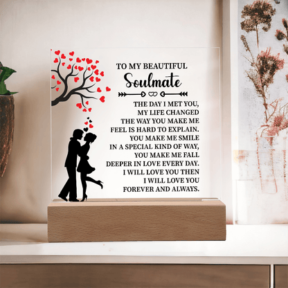 TO MY BEAUTIFUL Soulmate - Acrylic Square Plaque - Beauty Belliss